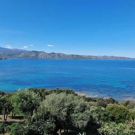 Appartement Sur La Baie De Saint Florent Patrimonio Extérieur photo