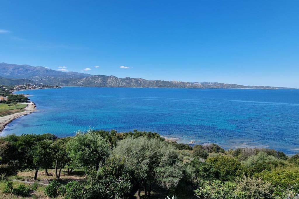Appartement Sur La Baie De Saint Florent Patrimonio Extérieur photo