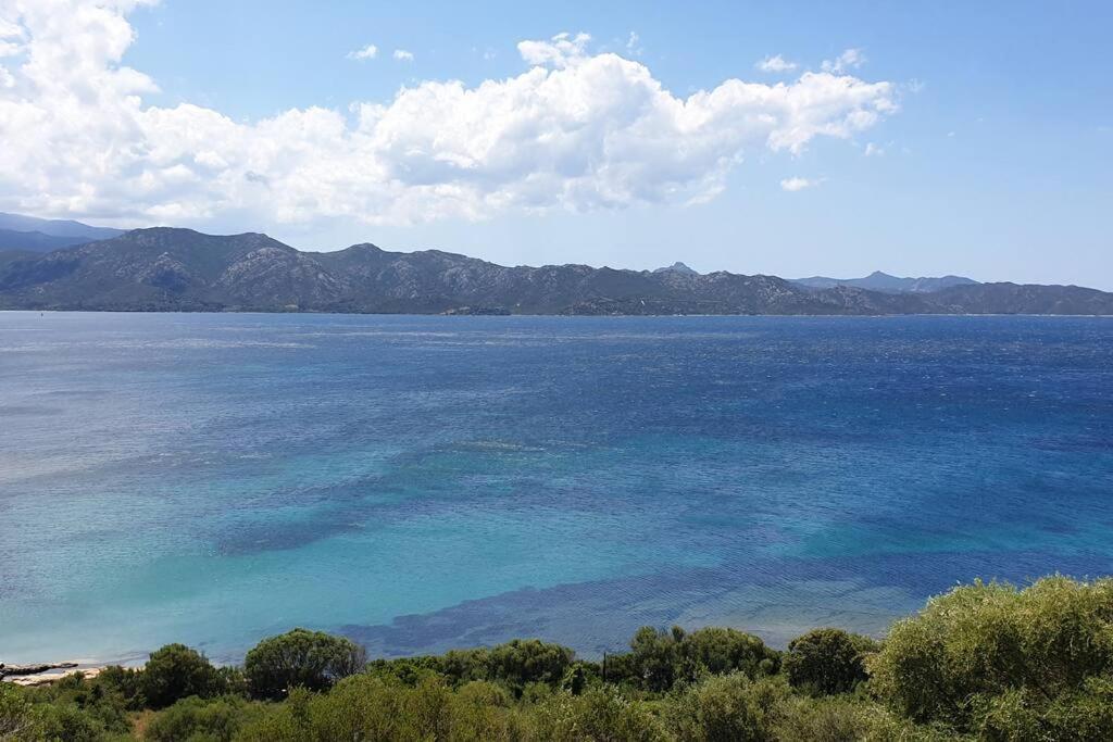 Appartement Sur La Baie De Saint Florent Patrimonio Extérieur photo