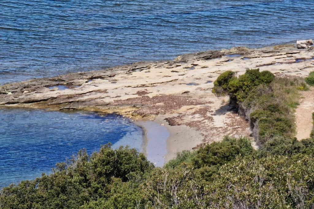 Appartement Sur La Baie De Saint Florent Patrimonio Extérieur photo