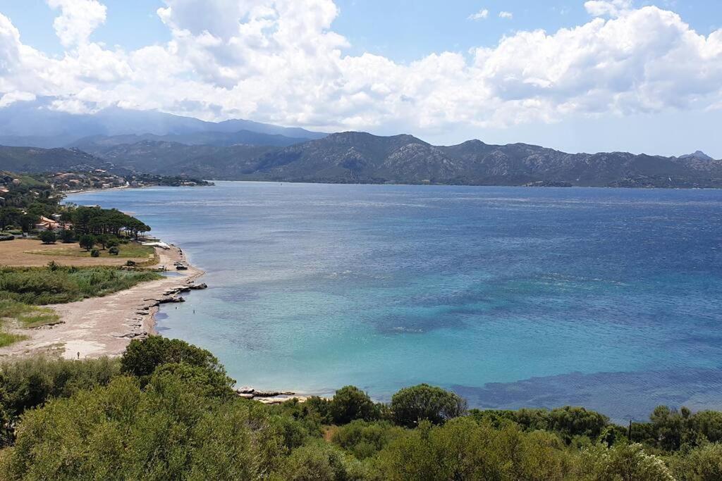 Appartement Sur La Baie De Saint Florent Patrimonio Extérieur photo