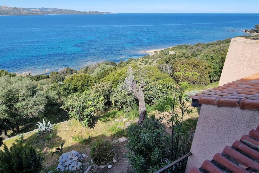 Appartement Sur La Baie De Saint Florent Patrimonio Extérieur photo