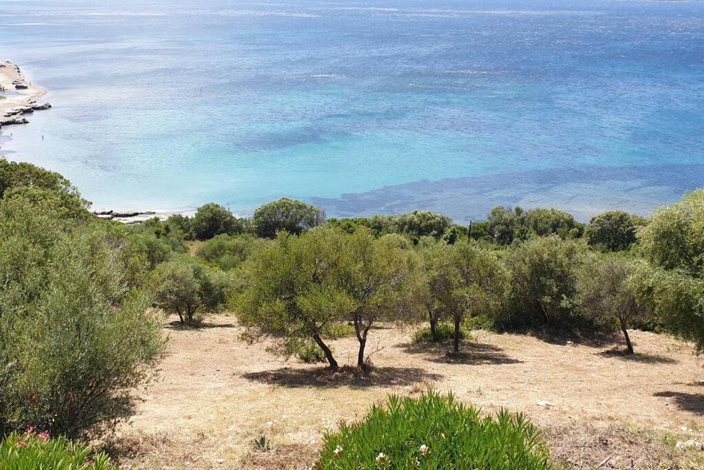 Appartement Sur La Baie De Saint Florent Patrimonio Extérieur photo